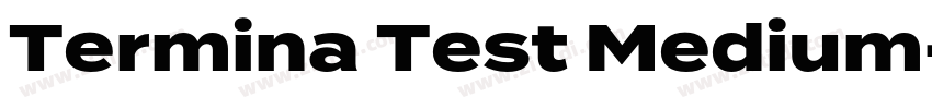 Termina Test Medium字体转换
